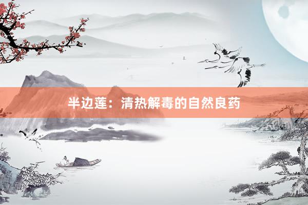 半边莲：清热解毒的自然良药
