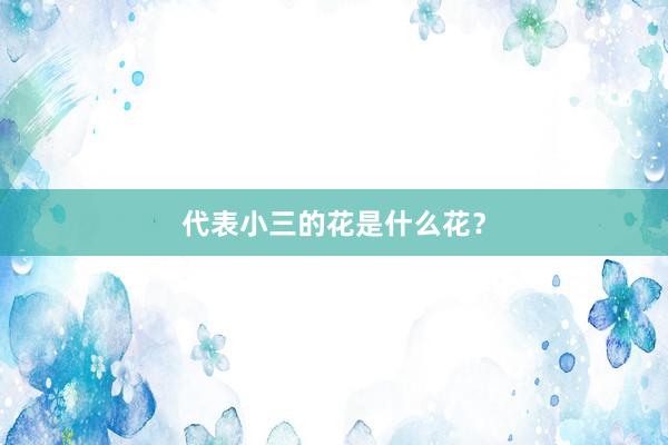 代表小三的花是什么花？
