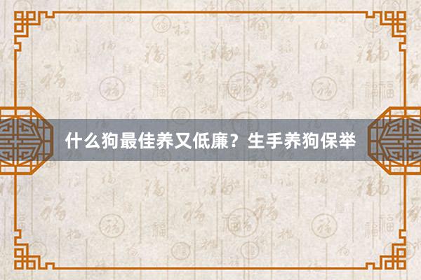 什么狗最佳养又低廉?生手养狗保举