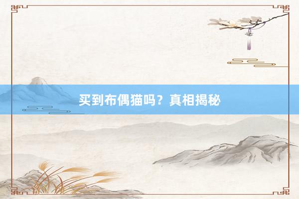 买到布偶猫吗？真相揭秘