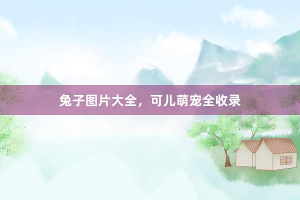 兔子图片大全，可儿萌宠全收录