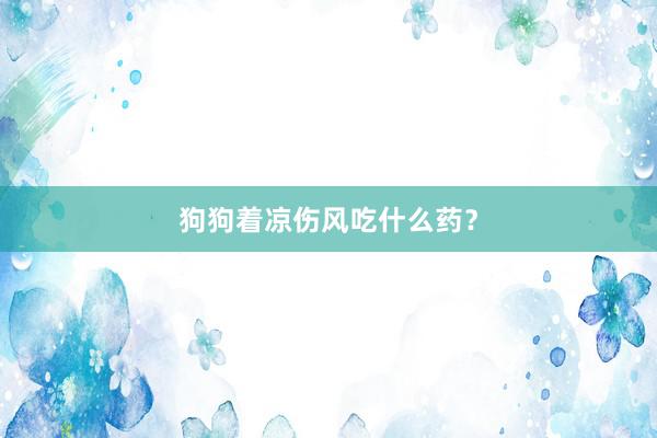 狗狗着凉伤风吃什么药？